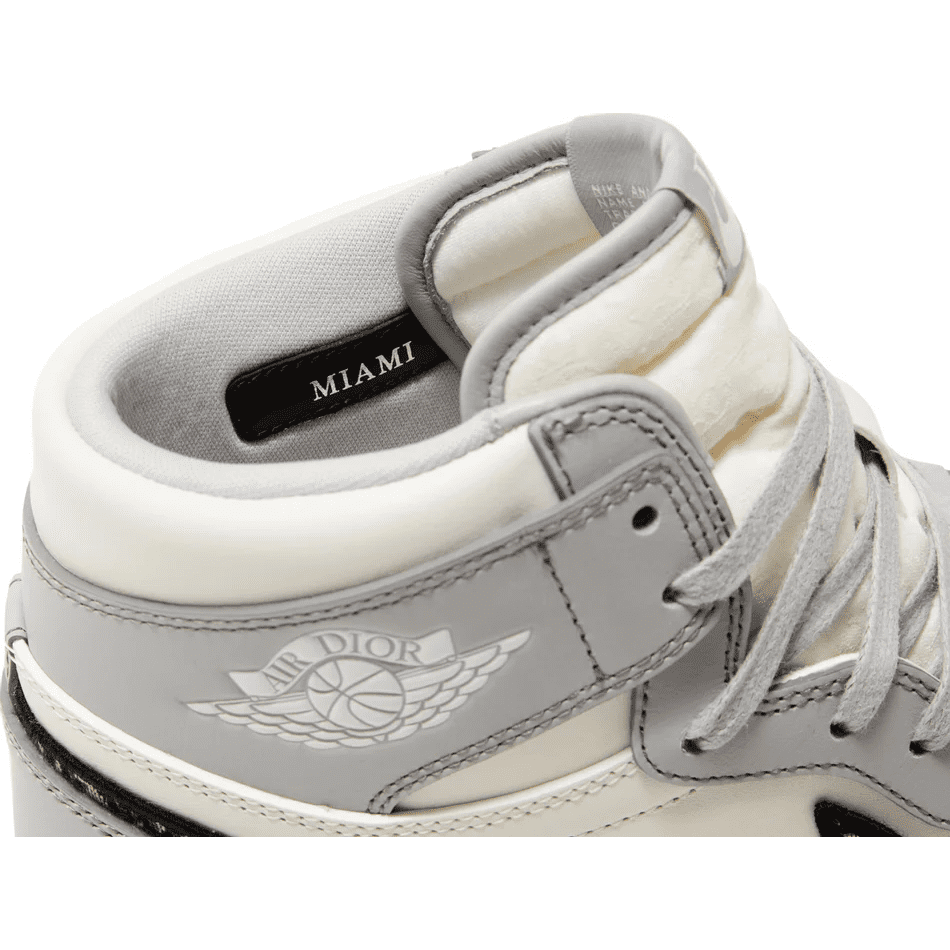 Dior x Air Jordan Retro High Sneaker – Friends Family Gallery